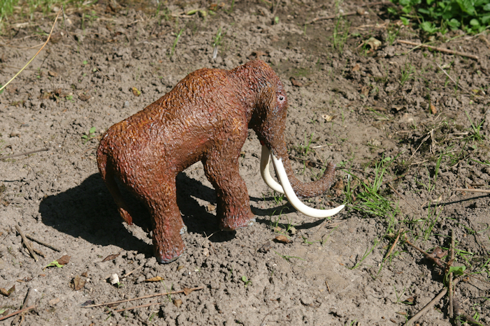 Mammut